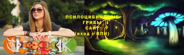 соль ск Абдулино