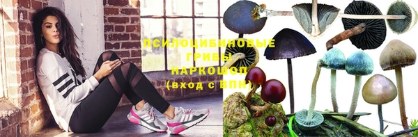 скорость Алексеевка