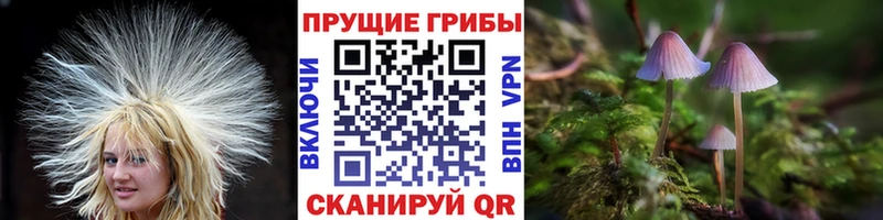 Псилоцибиновые грибы мицелий  продажа наркотиков  Искитим 